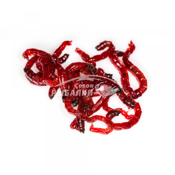 Мотыль крупный насадочный уральский 100гр